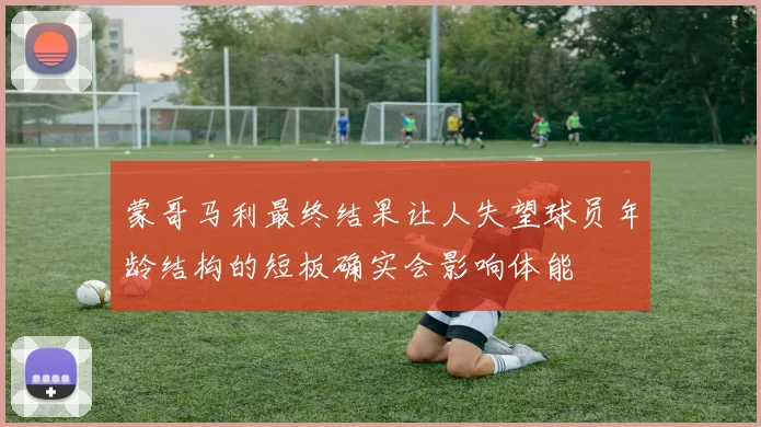 蒙哥马利最终结果让人失望球员年龄结构的短板确实会影响体能